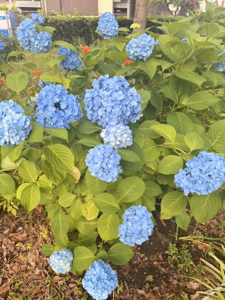 お支払い方法について